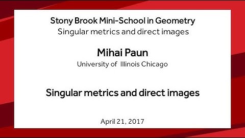 Singular metrics and direct images - Mihai Paun