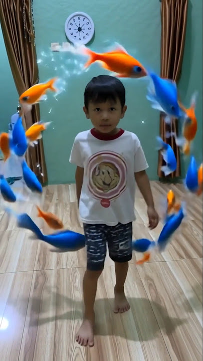 dikelilingi ikan warna warni