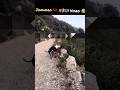 जानवरों के मजेदार कारनामें देख हंसी नहीं रोक पाओगे 😅 #shorts #funny #funnyanimals