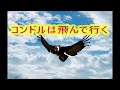 コンドルは飛んで行く (替え歌)