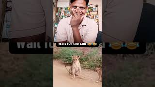 jab koi baat nahin Bani airfare se to kutte bada diye Jungle ke Sher se