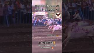 फायनल कासारशिरंबे मैदान ll बकासुर आणि सर्जा ll १नंबरचे मानकरी 🏆#बैलगाडा #बकासुर #shetkari #shorts ll