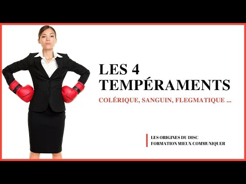 Video: Tipes Temperament En Hul Eienskappe