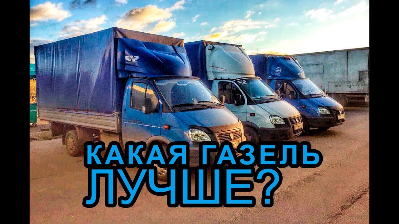 Газель греется в жару