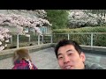 お猿さんとお花見している気分になれる生放送！