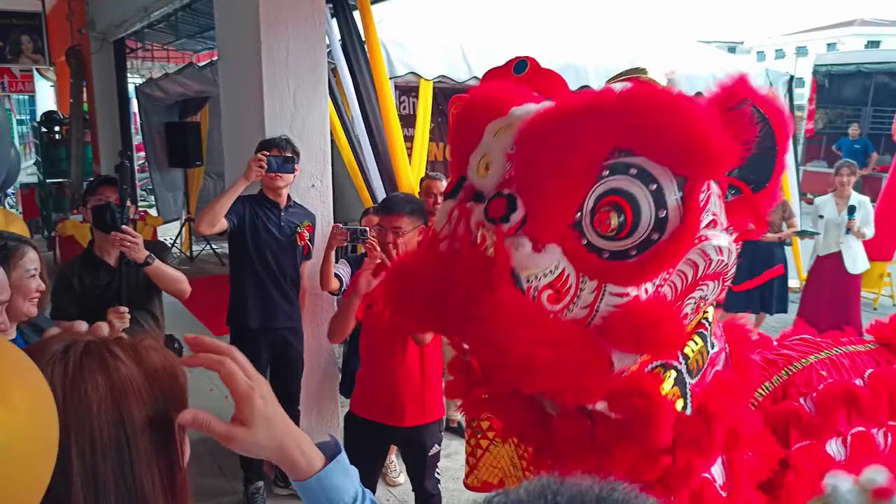 Танец льва — праздничное традиционное представление, вселяющее мужество, процветание и радость. 🦁