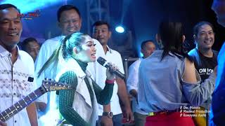 PAMER BOJO - ALL ARTIS #MONATA PANSER 2019