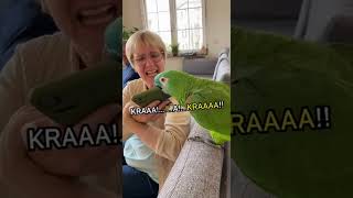 Parrot Declares War On Her Phone