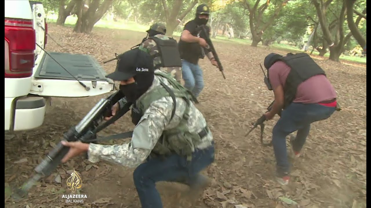 "الأفوكادو اللعين": صناعة مربحة تستهدفها عصابات المخدرات