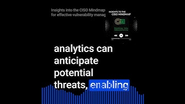 Insights into the CISO Mindmap: Scoping for effective vulnerability management