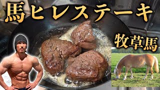 【ヒレステーキ】グラスフェッド馬ステーキ!【牧草馬】