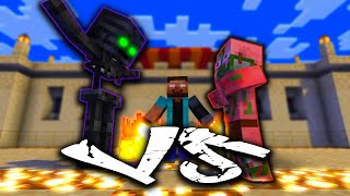 Wither Skeleton VS Zombie Pigman Fighting Tournament - Minecraft Animation