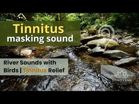 River Sounds with Birds | Tinnitus Relief & Deep Relaxation in Nature