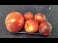 Natural High Fiber Fruit to Feed Gut Microbiomes