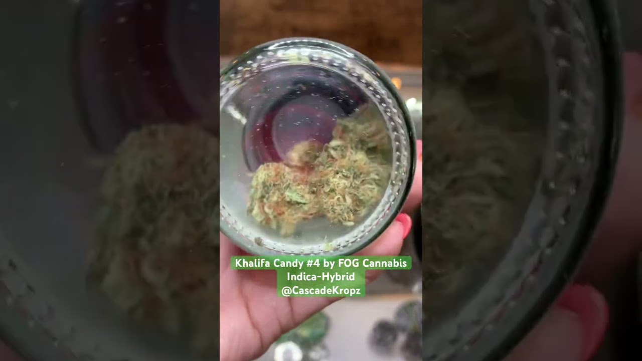 Khalifa Candy #4 by FOG Cannabis