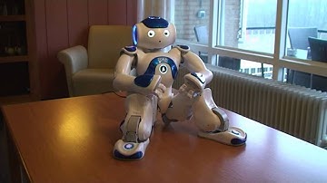 Thuis bij Humanitas, Zora de Zorgrobot