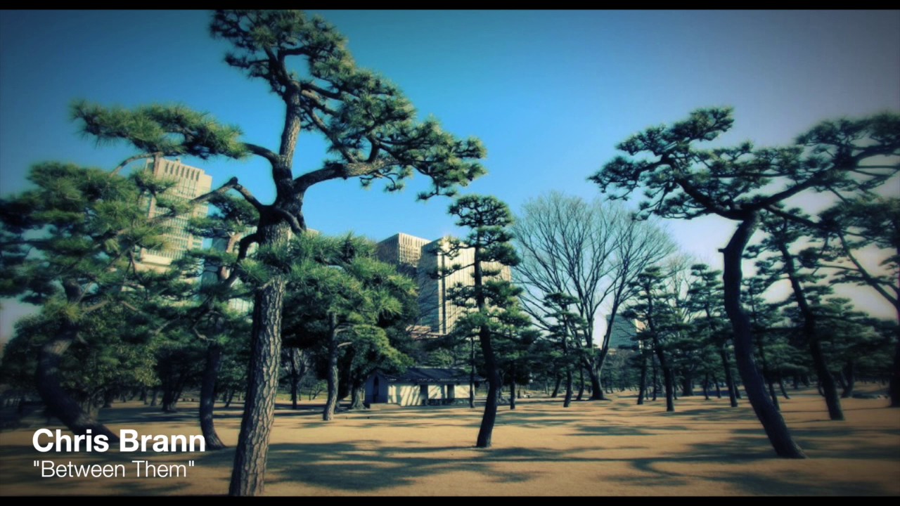 Chris Brann - Between Them