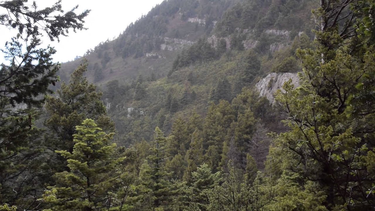 Tree Spring Trail: The Rain Tapers Off