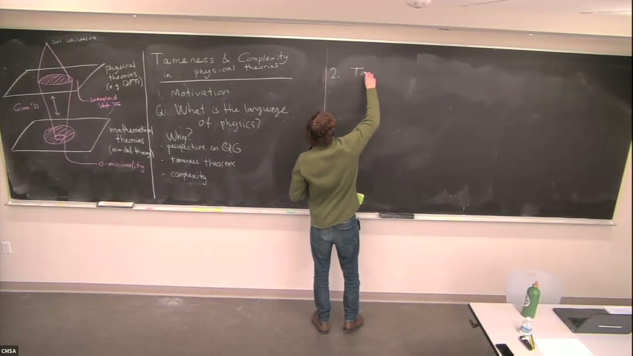 David Prieto and Mick van Vliet | Tameness and Complexity in Physical Theories