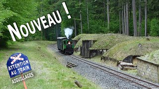 Le Train des Forts (Uxegney - Vosges)