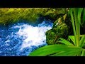 Stream Sounds White Noise | for Sleeping, Studying, Relaxation, Focus | 10 Hours