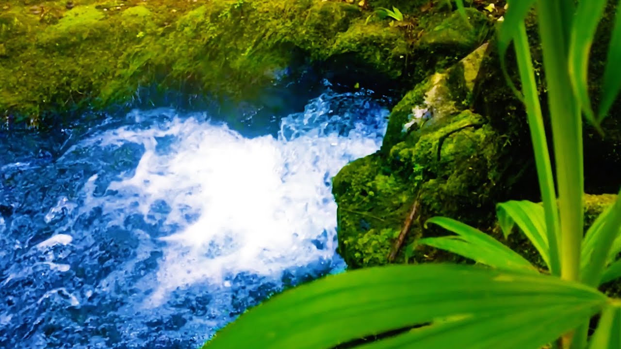 Stream Sounds White Noise | for Sleeping, Studying, Relaxation, Focus | 10 Hours