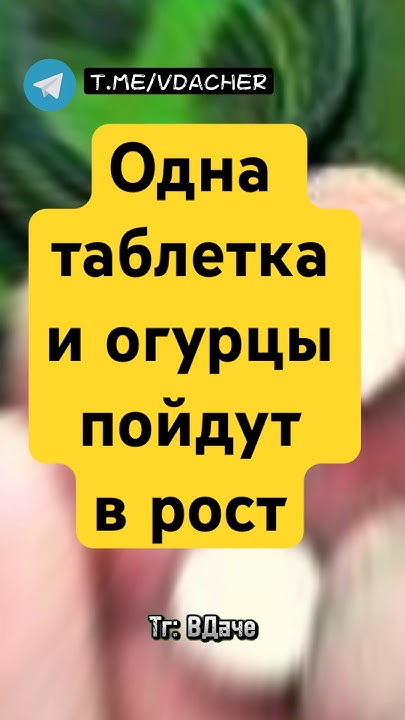 Стимулятор для роста огурцов, всего одна таблетка и огурцы пойдут в ...