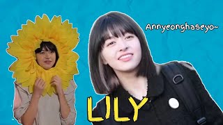 Introducing Lily🌻