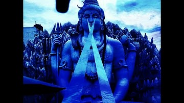 Sem chão ( original)