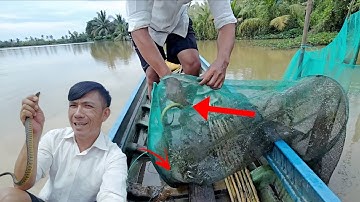 Kết Quả Thăm Dớn Lờ Cá Lóc Miền Tây Mùa Nước Lên #trầntúvlog 