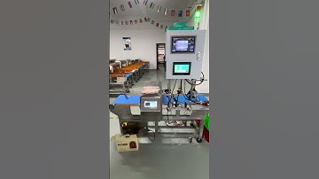 Vision Metal Detector #checkweigher #machine #weight #weightloss #factory
