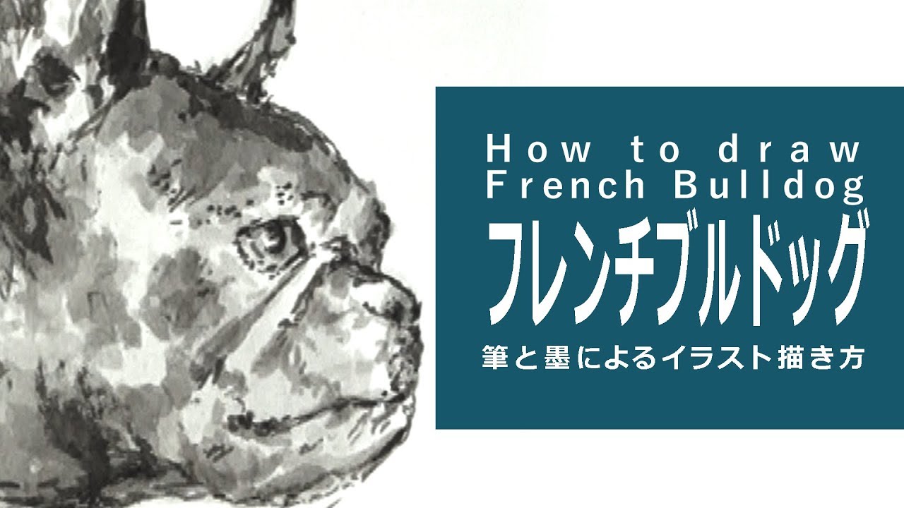 筆と墨のイラスト 描き方＆絵の上達～フレンチブルドッグ How to