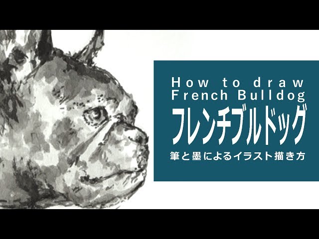 筆と墨のイラスト 描き方＆絵の上達～フレンチブルドッグ How to