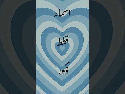 قطط صغيرة كيوت قطط اسماء قطط ذكور