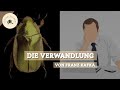 Die Verwandlung von Franz Kafka | Zusammenfassung, Beziehungen &amp; Interpretationsansätze