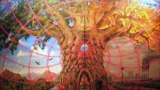 Mese Az Isteni Darabkákról - Polip Meséje