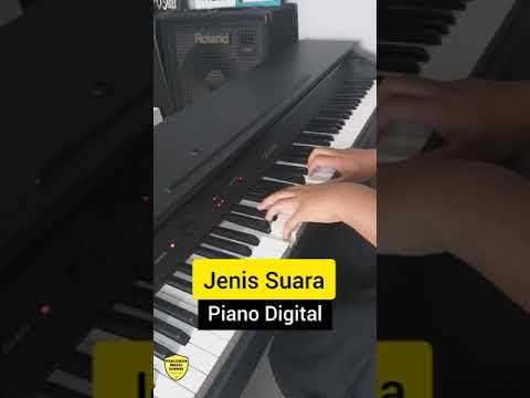Piano Digital Vs Organo