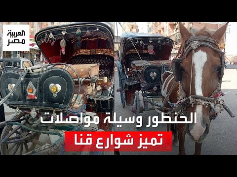 الحنطور وسيلة مواصلات لها رونق خاص وأرخص من التاكسي في قنا الأجرة ب15 جنيه ا