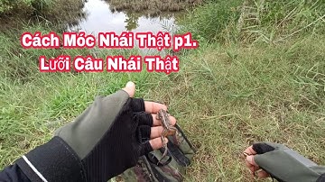 Hướng Dẩn Cách Móc Nhái Thật Cơ Bản Mới Nhất. Cách Móc Nhái Thật.Câu Nhái Thật./Shop Đồ Câu Đại Ngáo