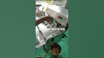 Automatic Egg Breaker Machine