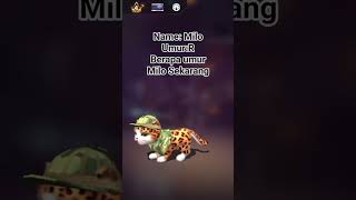 berapa umur Milo Sekarang #pyp#trend#kucing#milo#lewatberanda