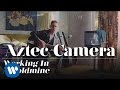 Aztec Camera - Working In A Goldmine (OFFICIAL MUSIC VIDEO)