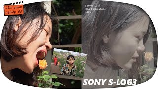 Quay phim siêu đẹp với SONY S-log3 ✅ Sony a6300,a6500,a7, RX100