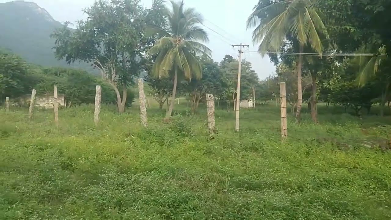 அழகர்கோவில் கோட்டை வாசல் அருகில் இடம் விற்பனைக்கு