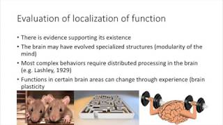 Localisation of function