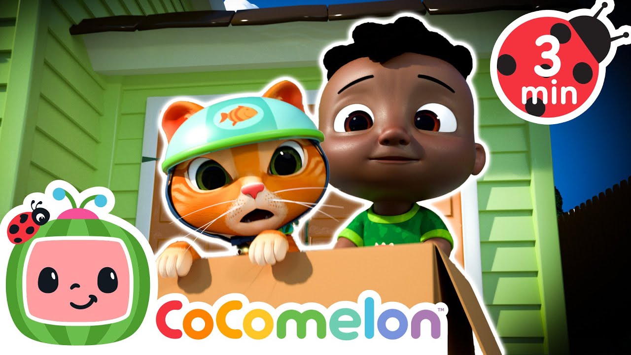 Racing The Cat! This Box Rocks! CoComelon - Cody Time! | Songs and ...