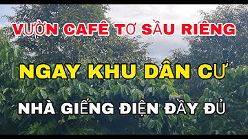 (Đã Bán) Vườn 2 nguồn thu cafê và sầu riêng ngay khu dân cư sẵn nhà giếng đầy đủ