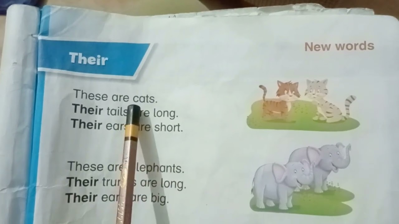 English Reading Practice for Kids | Learn About “Their” | Meaning and Use