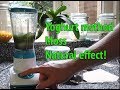 Dry start method aquarium  how to grow aquarium moss