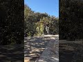 Bugambilias mesas